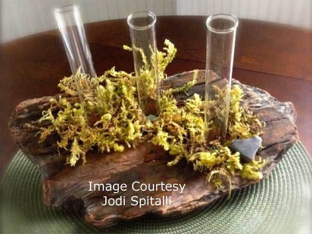 Flower Arrangement in Driftwood