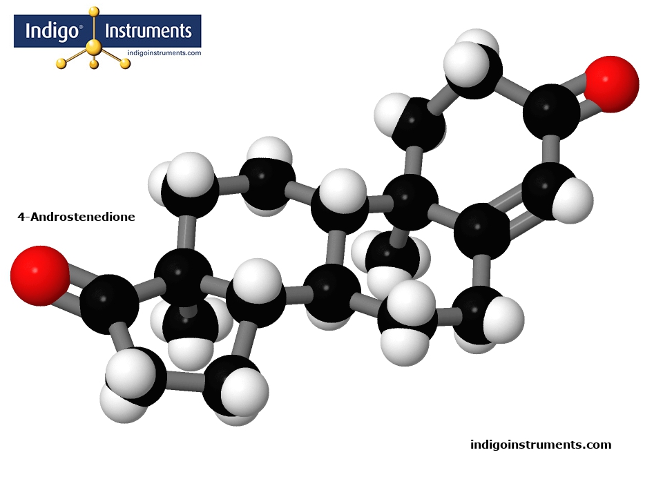 4-Androstenedione