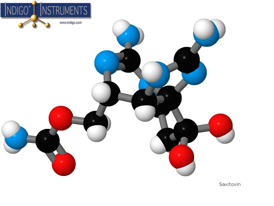 Saxitoxin