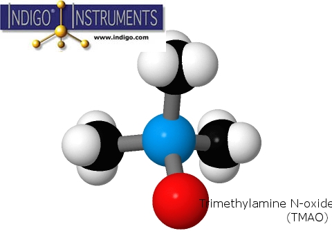 Trimethylamine N-oxide  (TMAO)