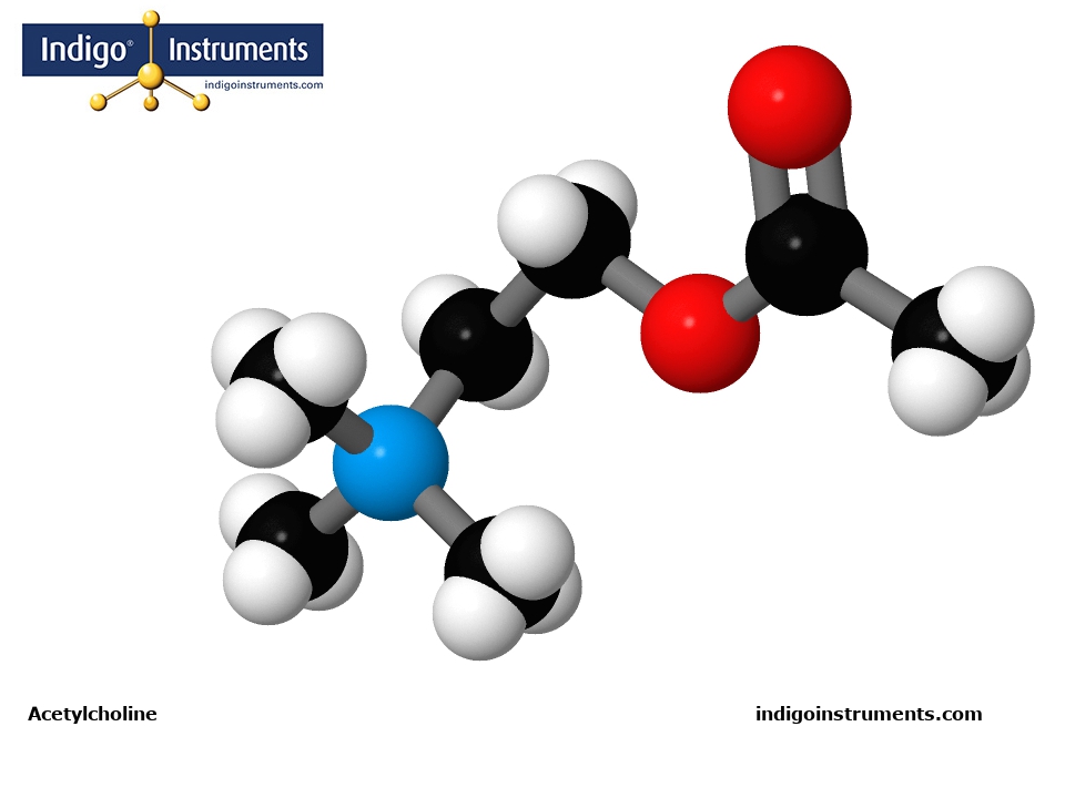 Acetylcholine