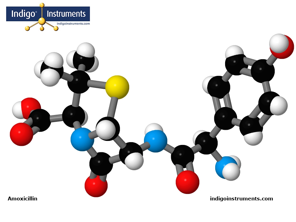 Amoxicillin