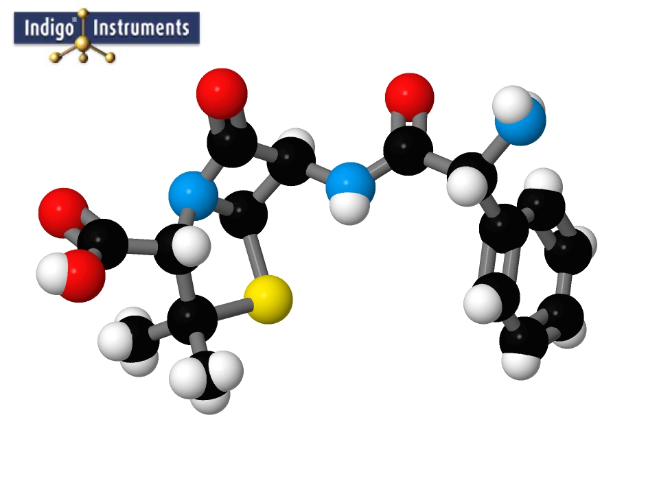 Ampicillin
