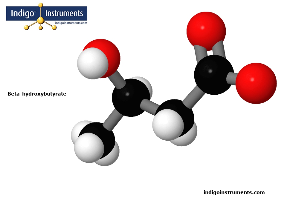 Beta-hydroxybutyrate