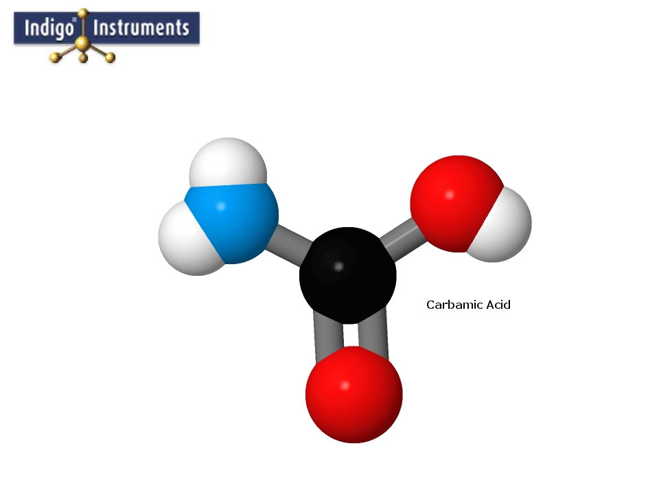 Carbamic Acid