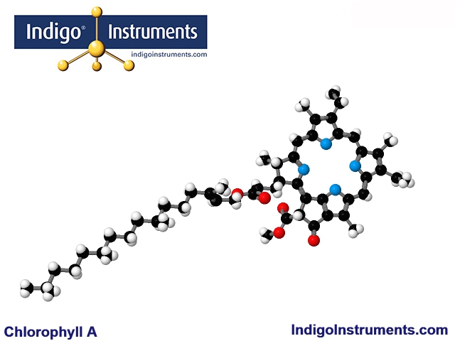 Chlorophyll Molecule Complex Structure Model built with ...