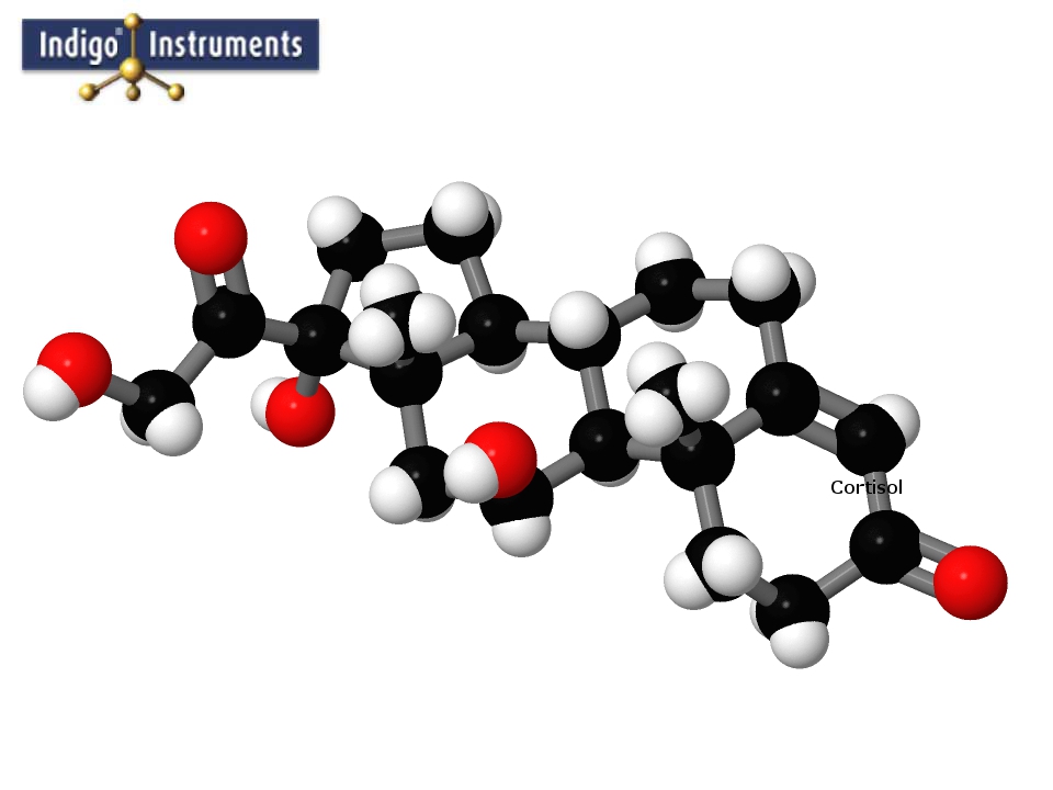 Cortisol