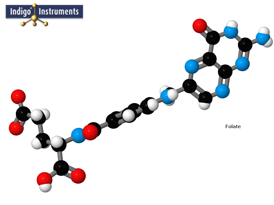Folate