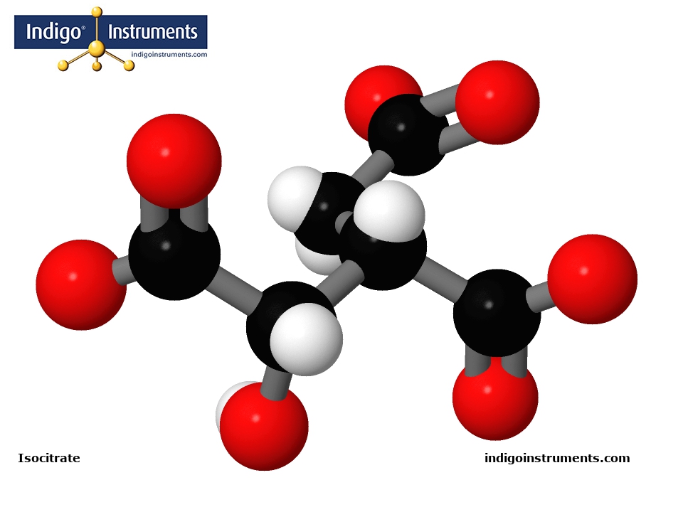 Isocitrate