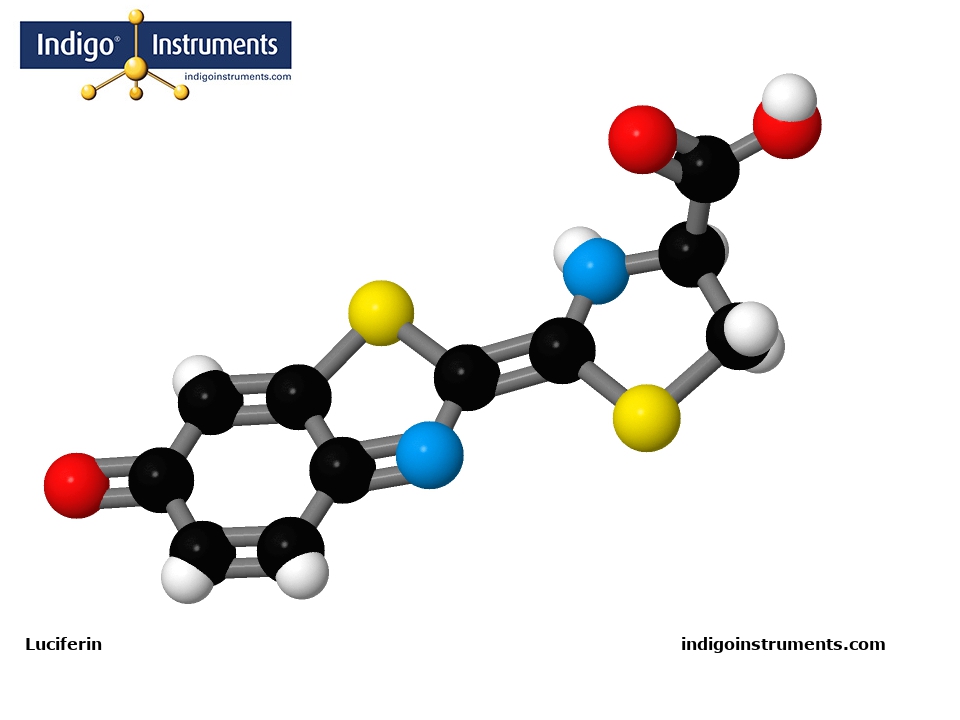 Luciferin