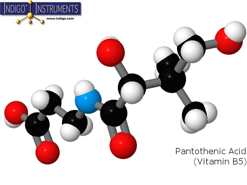 Pantothenic Acid