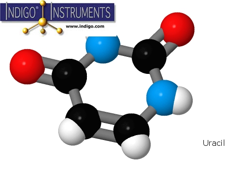 Uracil