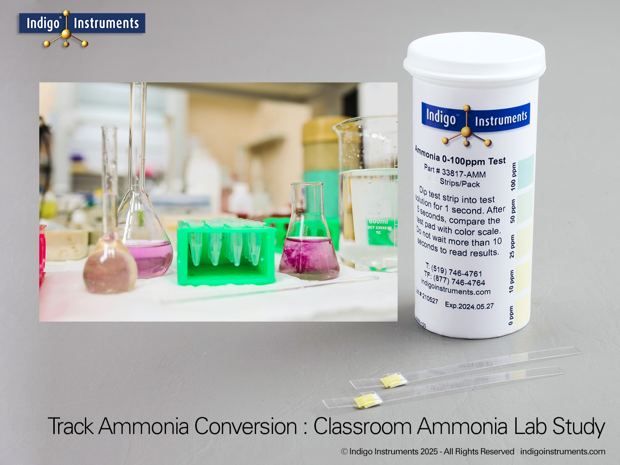 Nitrogen Cycle Lab Ammonia Testing Strips