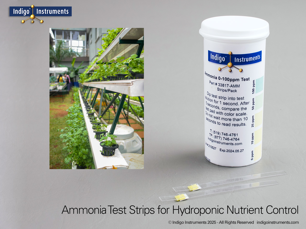 Hydroponic Greenhouse Ammonia Test Strips