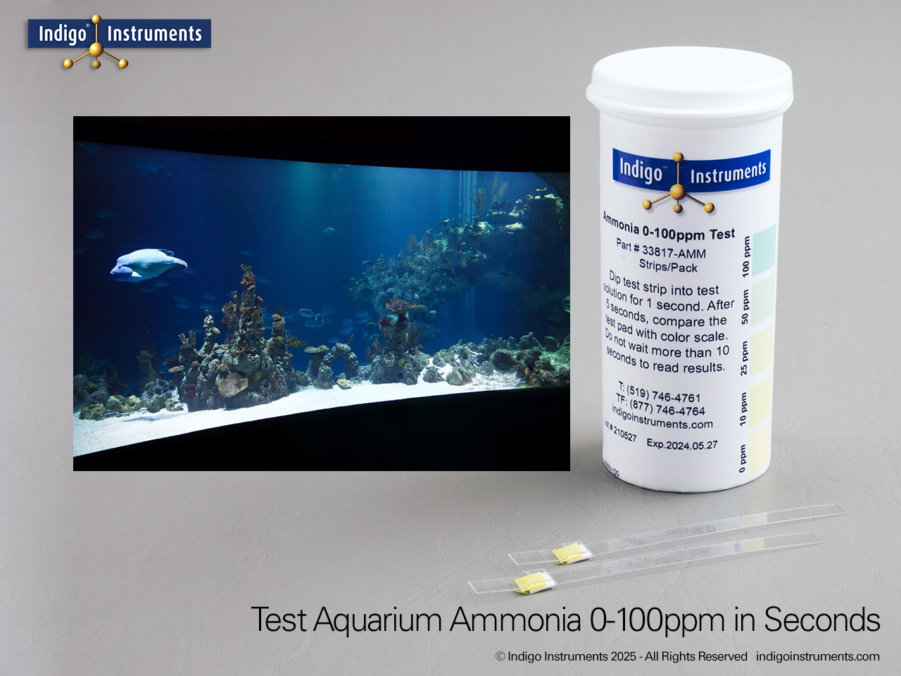 Aquarium & Fish Farm Ammonia Testing