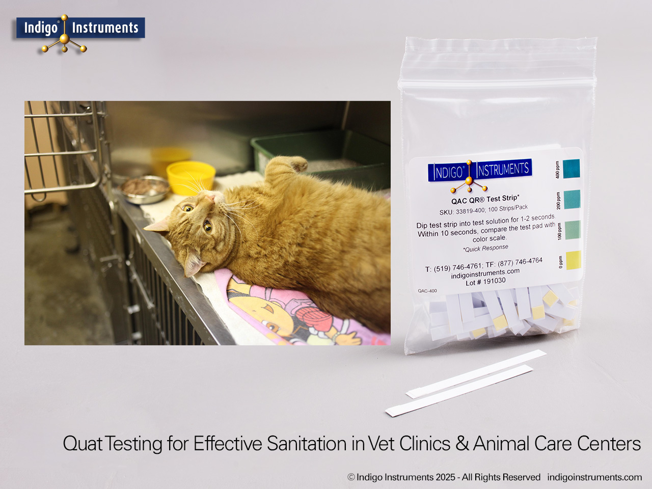Quat Testing for Veterinary Clinics