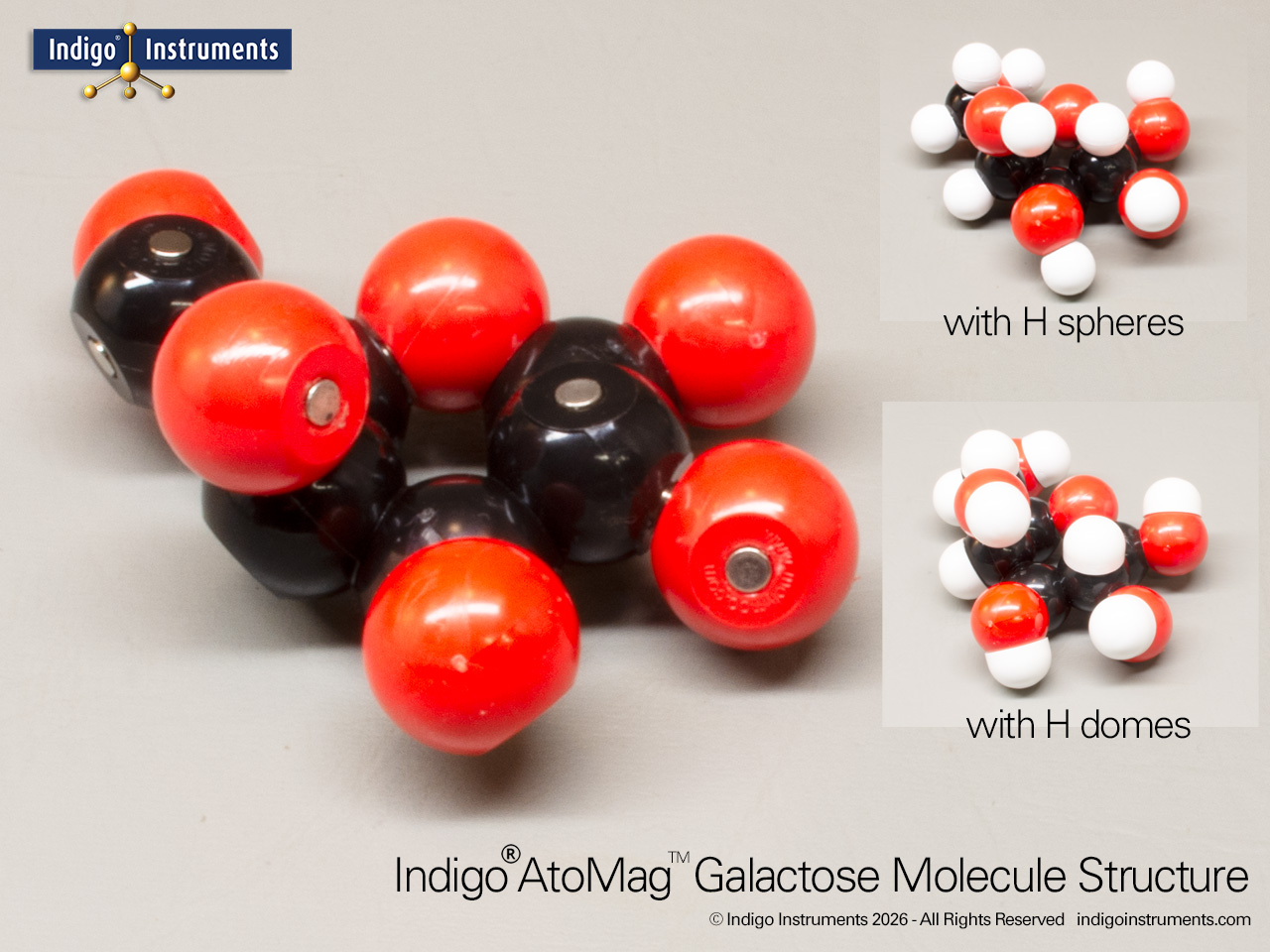 AtoMag™ Galactose Magnetic Molecular Model+H