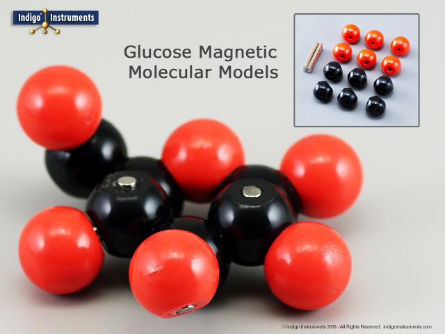 AtoMag™ Glucose Magnetic Molecular Model