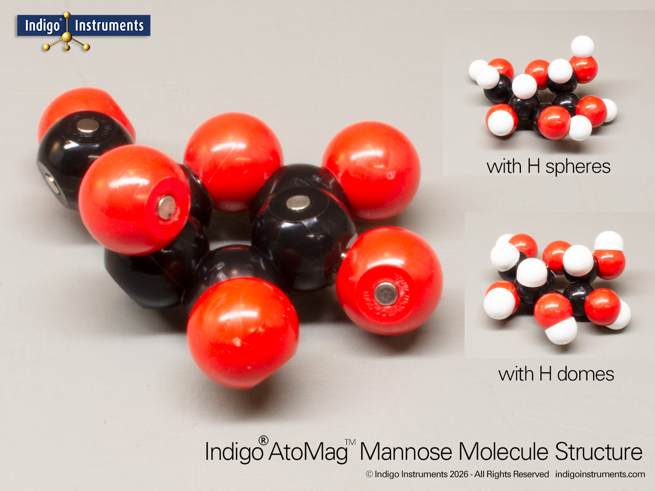 AtoMag™  Mannose Magnetic Molecular Model+H