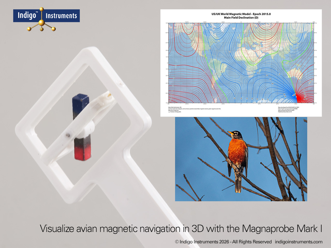 Avian 3D Magnetic Navigation Sensor