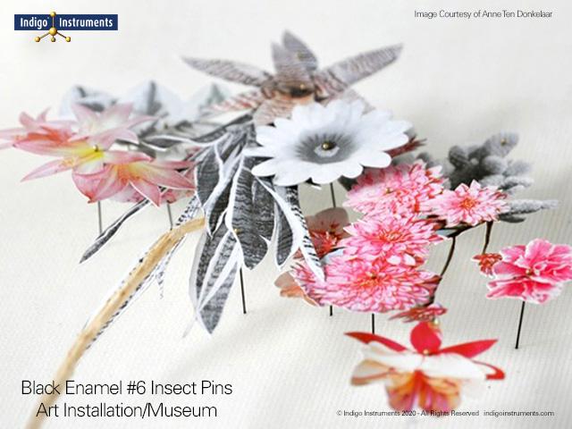 Botanical Mounting & Preservation Pins