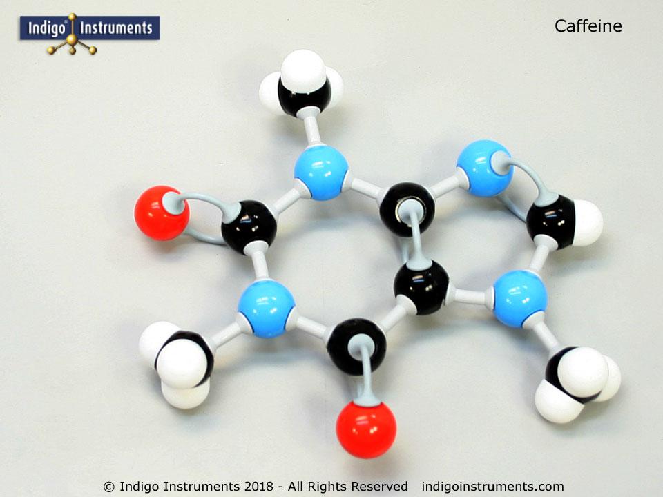 Acrobacia abajo declarar Caffeine chemical structure molecular model, assembled, from Indigo