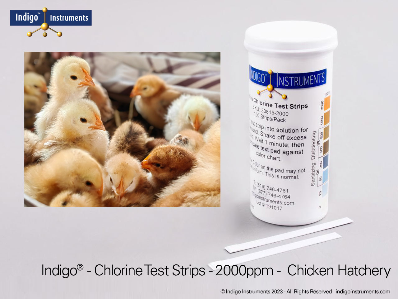 Chicken Hatchery Disinfection