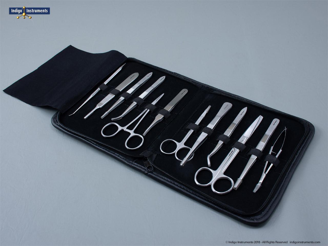 gross anatomy dissection video tools gross anatomy dissection video tools