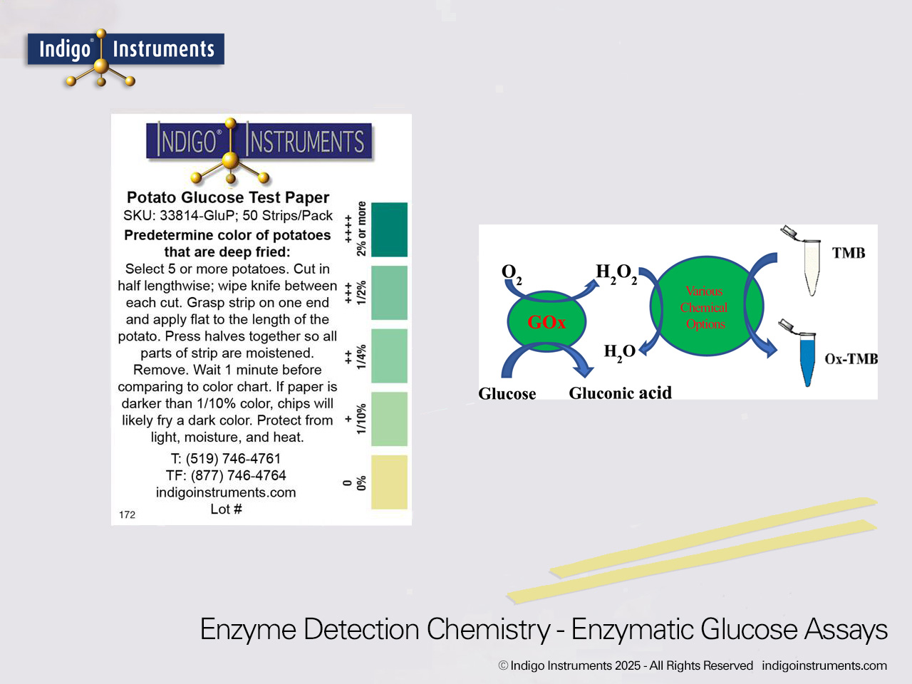 Glucose Oxidase-Peroxidase Mechanism