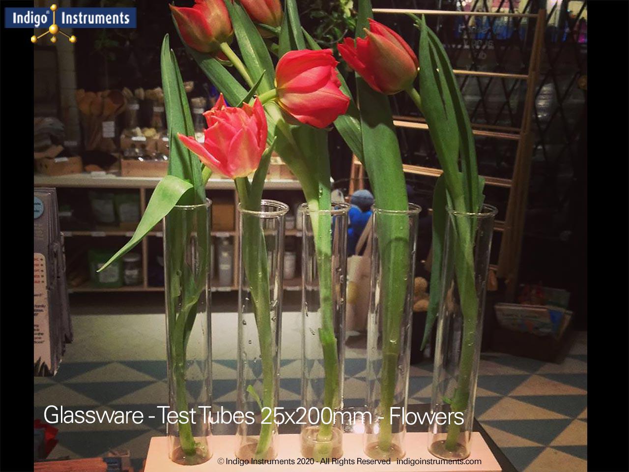 25x200mm (1x8") Flower Vase Glass Test Tube