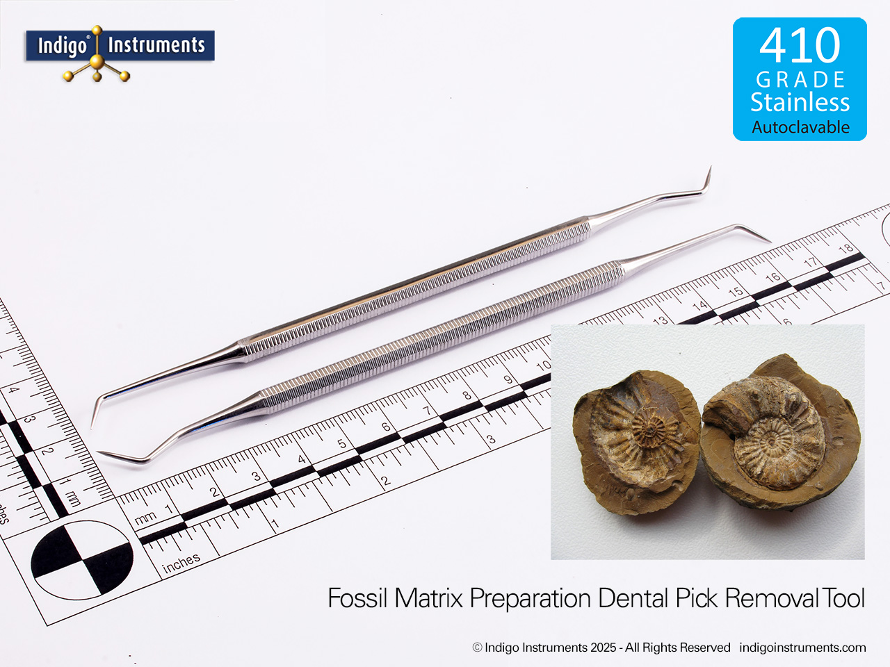 Fossil Preparation Matrix Removal Tool