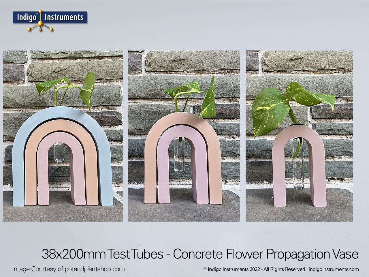 Giant Test Tube Concrete Plant Cutting Holder