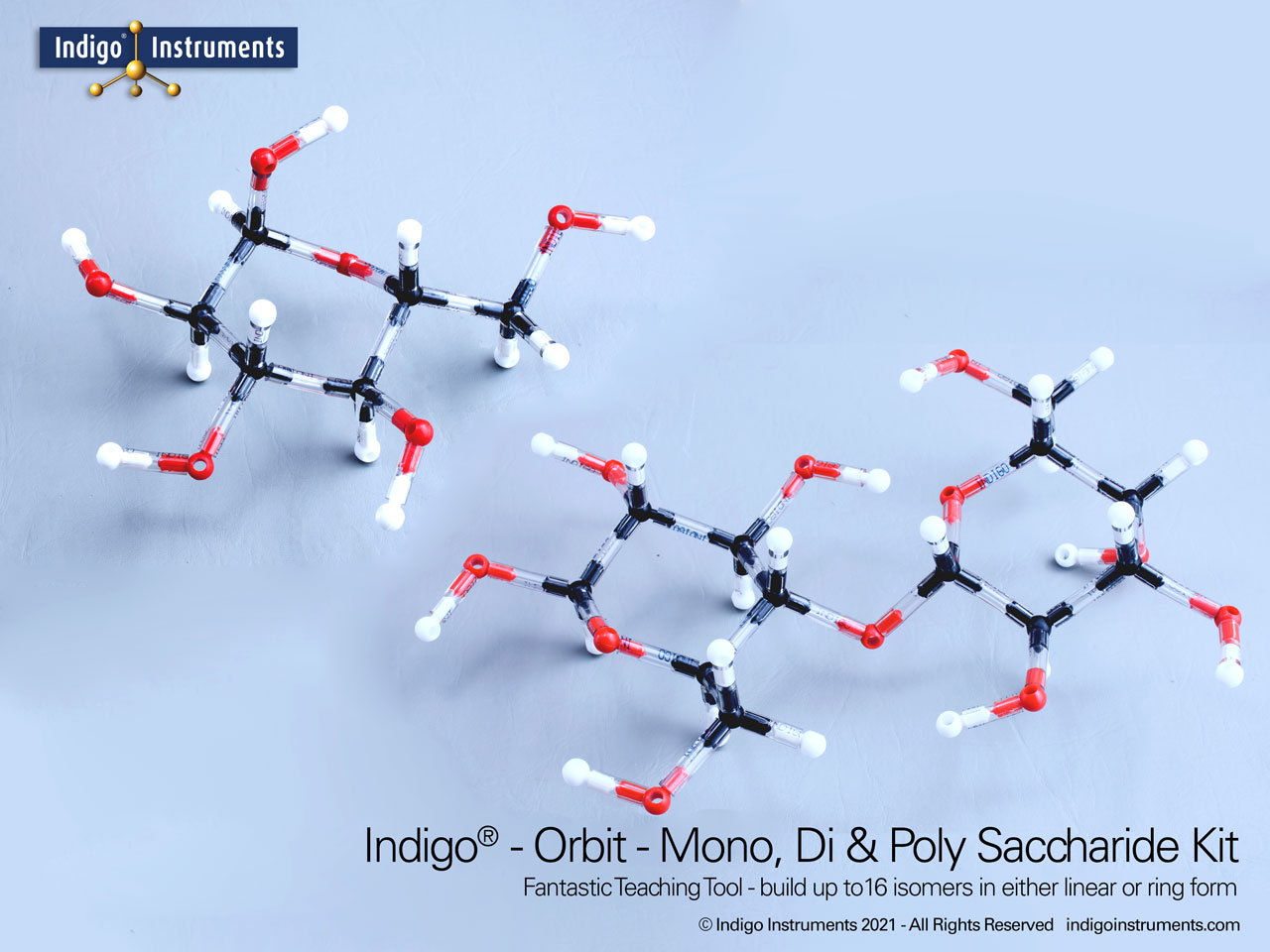 Sugar-Model Monosaccharide, Disaccharide & Polysaccharide Structures Molecular Models  Kit: Build Common Sugar