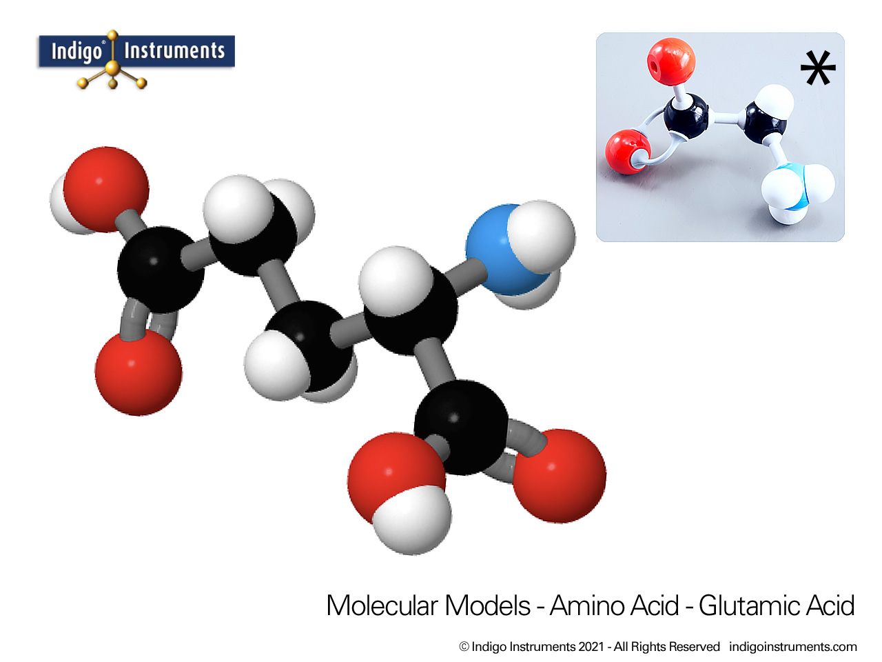 Glutamic Acid