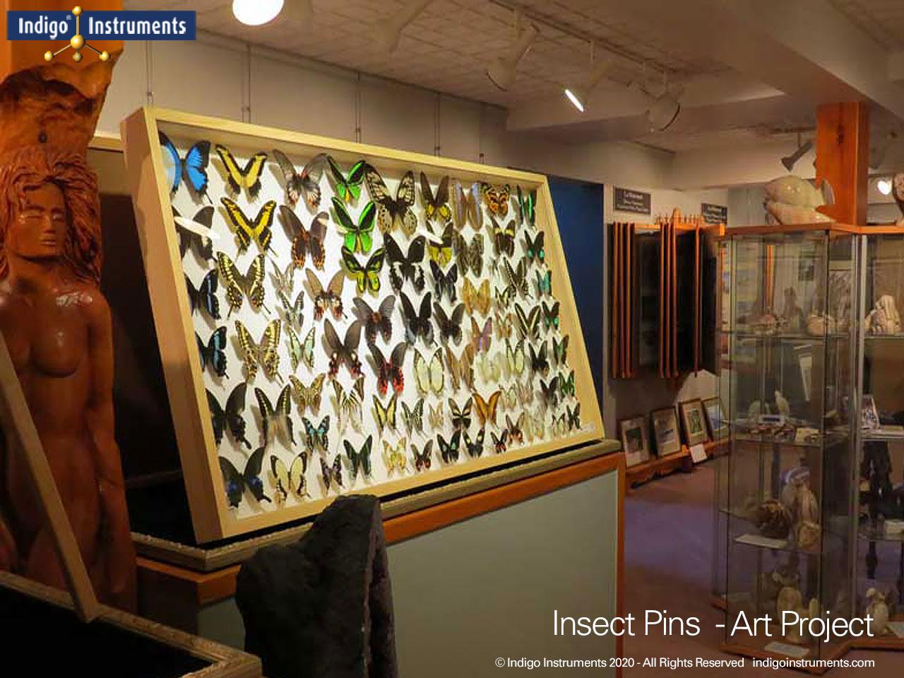 Insect Collection 10 Pin Sizes