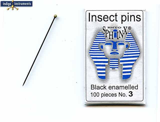 Insect Pin Holder