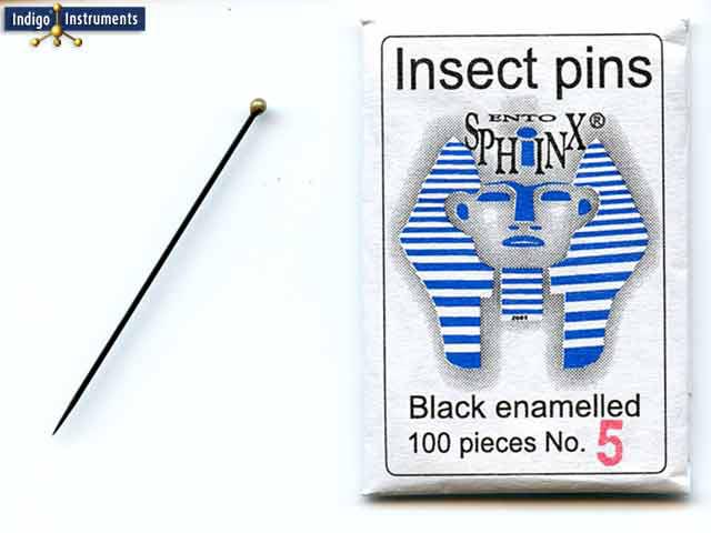 Black Enamel Insect Pin #5