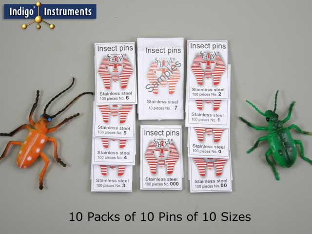 10 Insect Pin Variety Pack