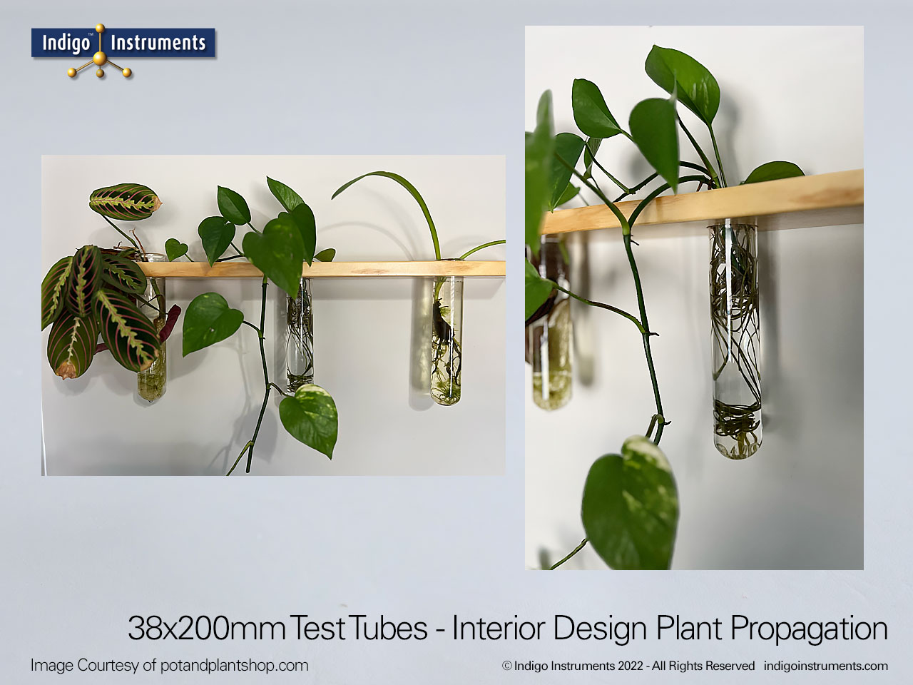 Plant Shelf Propagation Station Plant Starter With Test Tubes