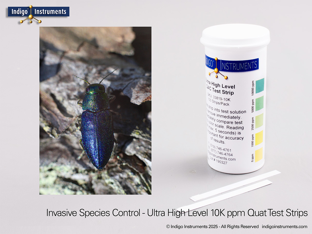 Invasive Species Control 10k ppm QAC Testing