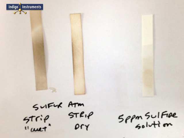 Hydrogen Sulfide Gas Detection