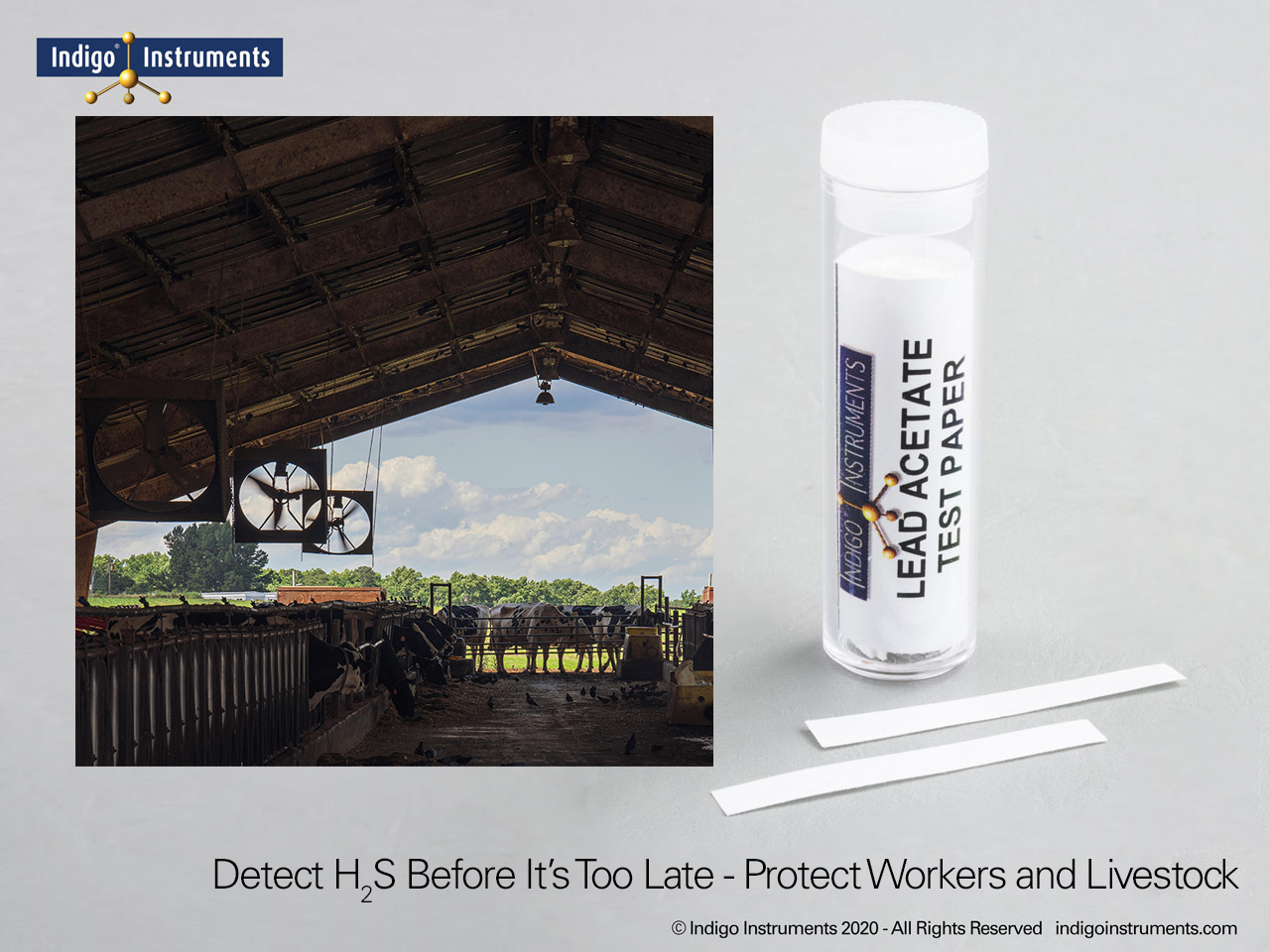 Hydrogen Sulfide Farm Safety Test Strips