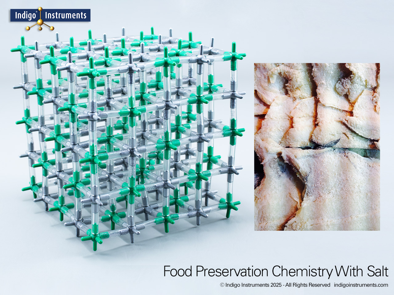 Salt in Food Preservation