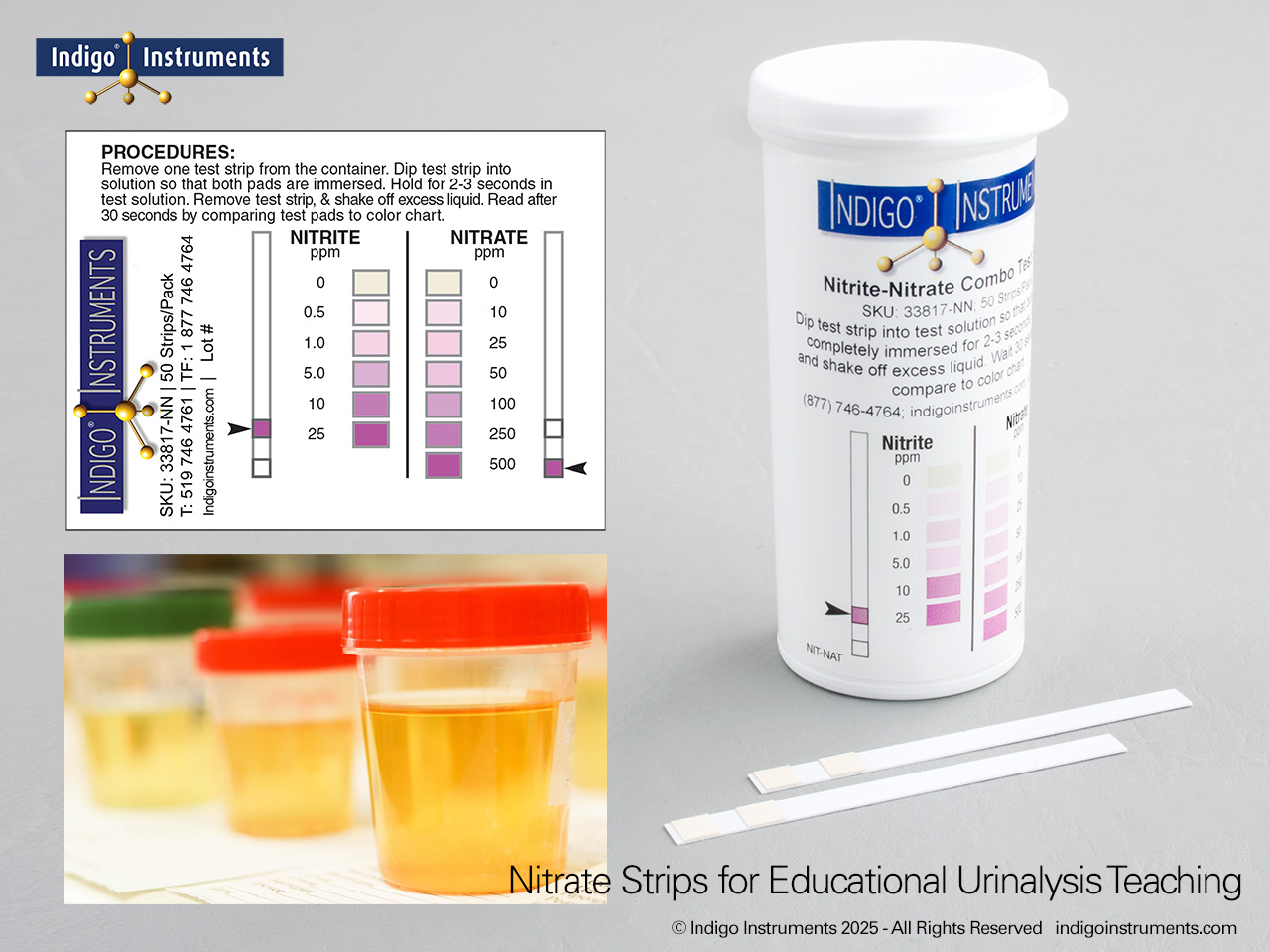 Teaching Nitrite Strips for Urinalysis