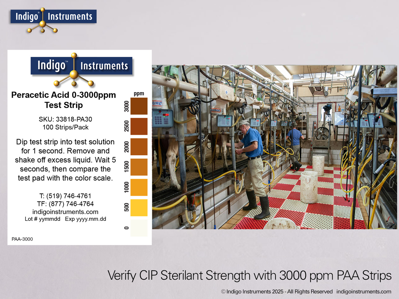 CIP Tank PAA Sterilant Testing Strips