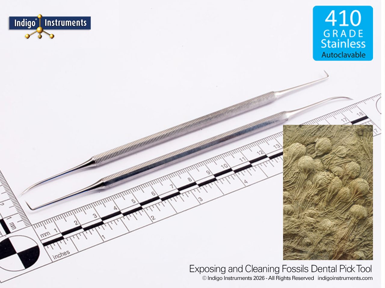 Paleontology Fossil Cleaning Tool