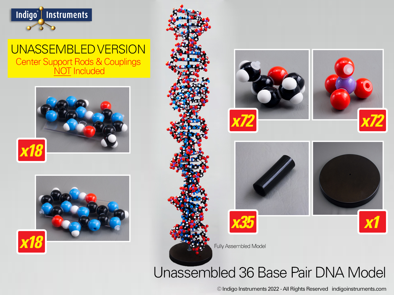 36 Base Pair DNA-Partially Assembled