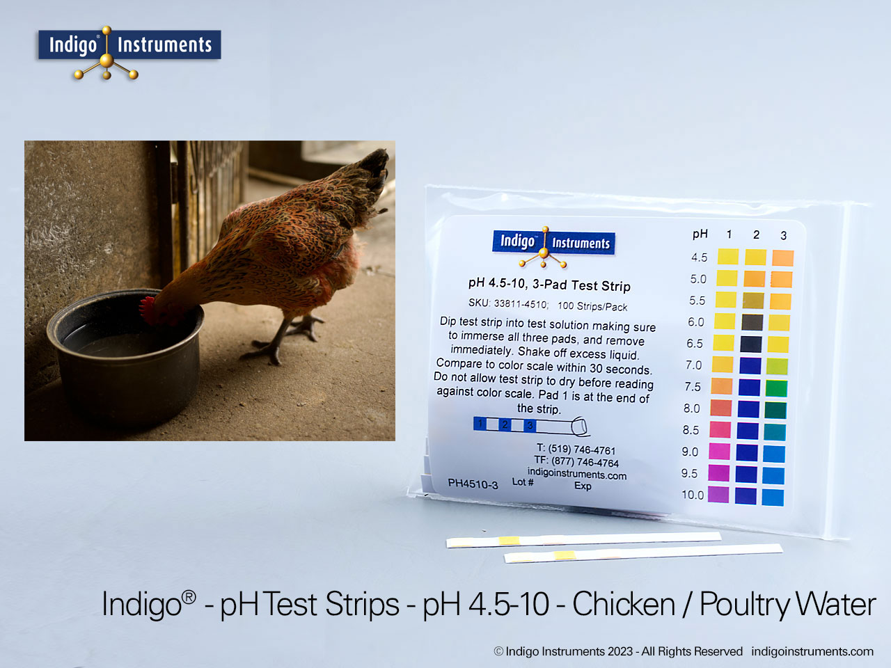 pH 4.5-10 Test Strip, 3 pad - Precision Laboratories Test Strips