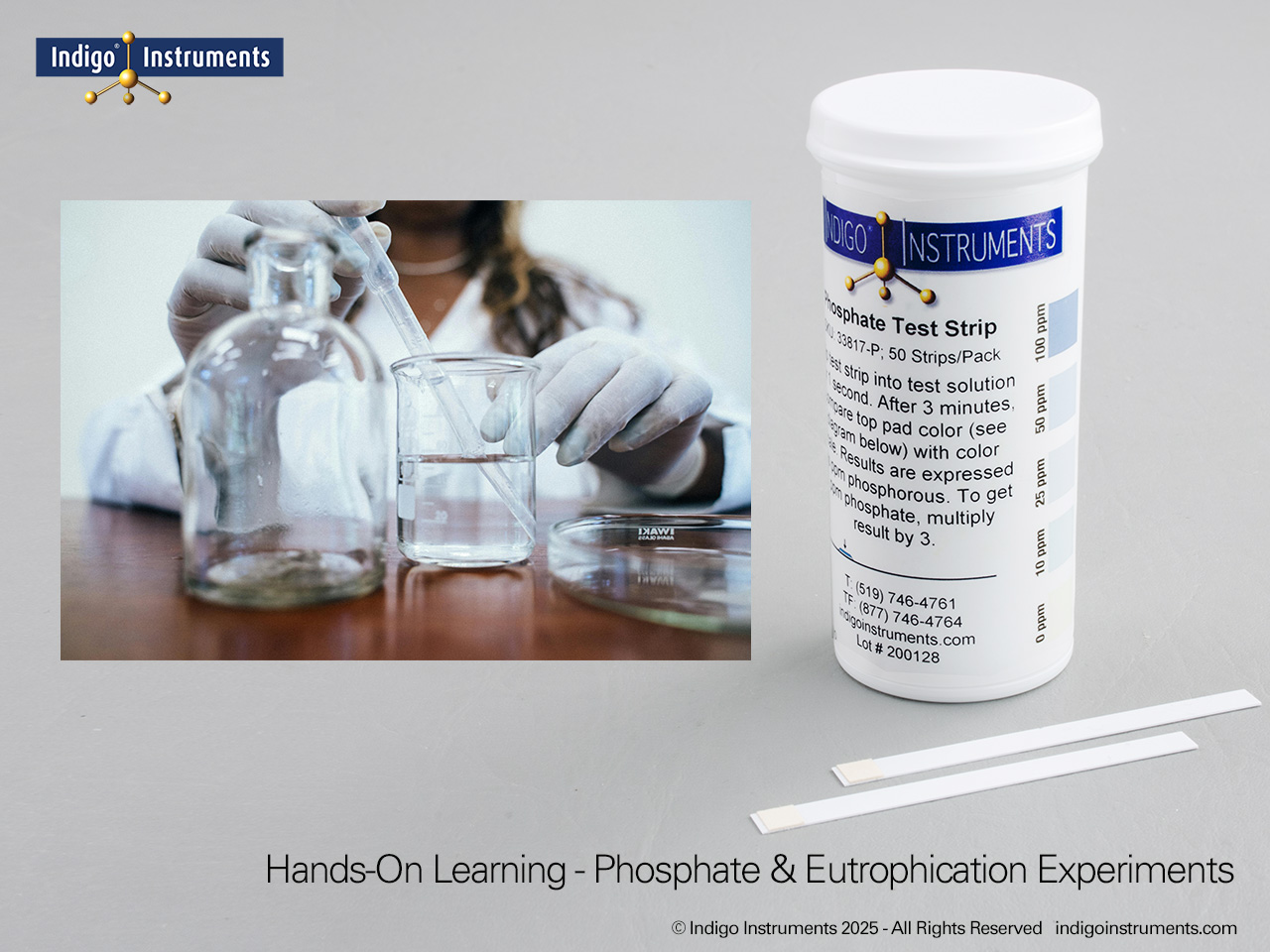 Education Demonstration Phosphate Test Strips