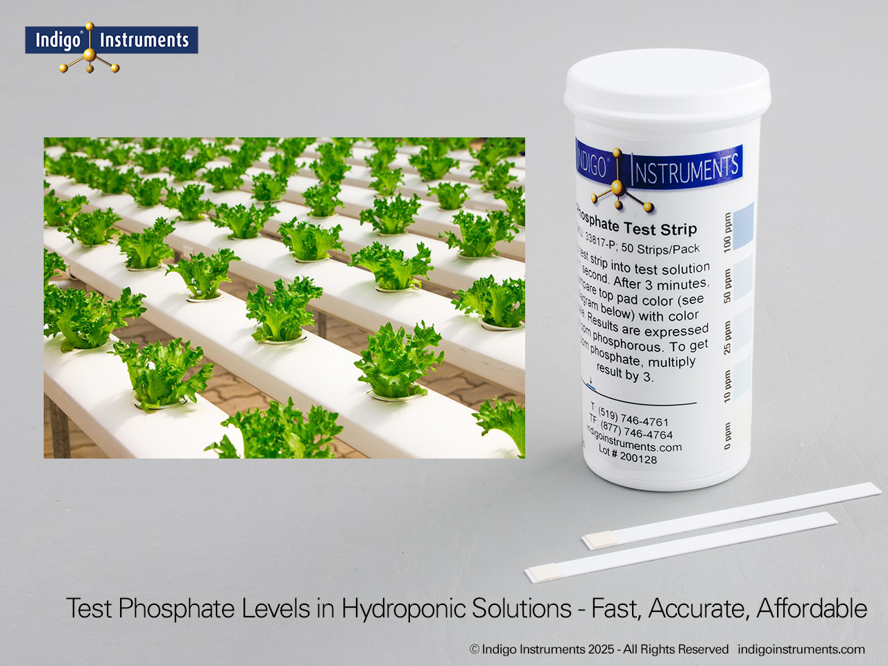 Hydroponic Greenhouse Phosphate Test Strips
